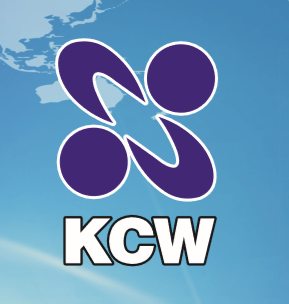 日本化药 KCW 高纯度环氧树脂 RE-310S